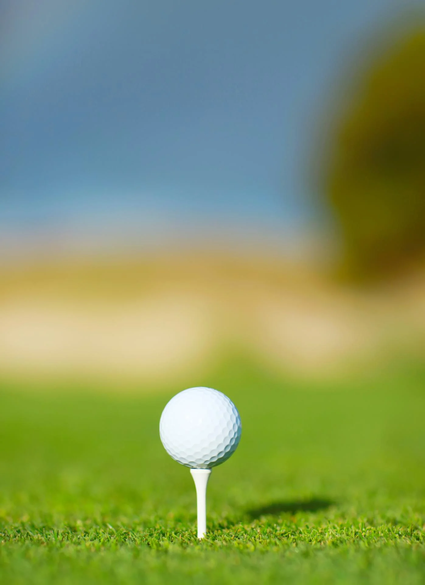 Golf ball